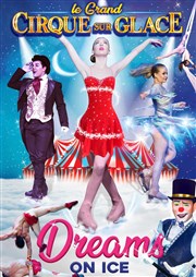 Le Grand Cirque de Noël sur Glace dans Dreams on Ice | Nantes Chapiteau du Grand Cirque de Nol  Nantes Affiche