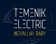 Temenik Electric Le Hangar Affiche