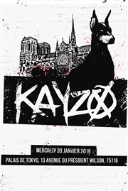 Kayzo Yoyo - Palais de Tokyo Affiche