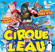 Le Cirque sur l'Eau | - Ploudalmézeau Chapiteau Le Cirque sur l'eau  Ploudalmzeau Affiche