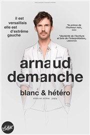 Arnaud Demanche dans Blanc et Hétéro Thtre Le Colbert Affiche