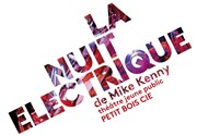 La nuit électrique Nouveau Thtre Jules Julien Affiche