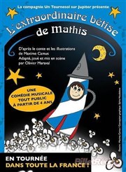 L'extraordinaire bêtise de Mathis Comdie de Grenoble Affiche