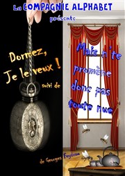 Dormez, je le veux ! + Mais n'te promène donc pas toute nue Thtre L'Alphabet Affiche