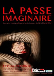 La Passe imaginaire Thtre Darius Milhaud Affiche