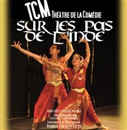 Sur les pas de l'Inde TCM Thtre de la Comdie Affiche