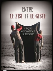 Entre le Zist et le geste Agora Affiche