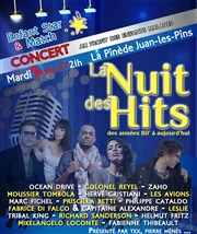 La nuit des hits La Pinde Gould Affiche