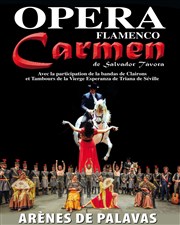 Opera Flamenco - Carmen Arnes de Palavas Affiche