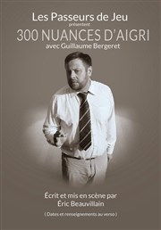 Guillaume Bergeret dans 300 Nuances d'aigri Le Paris de l'Humour Affiche