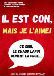 Il est con mais je l'aime ! Thtre des Chartrons Affiche