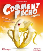 Comment Pécho en 5 Actes ? Thtre Les Feux de la Rampe - Salle 60 Affiche