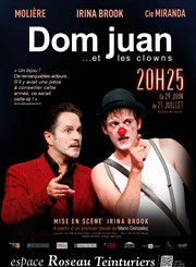 Dom Juan... et les clowns Espace Roseau Teinturiers Affiche