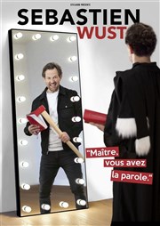 Sébastien Wust dans Maître vous avez la parole Le Pont de Singe Affiche