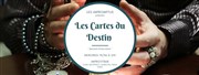 Les Impromptus dans Les cartes du destin Improvi'bar Affiche