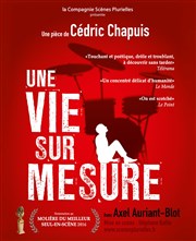 Une vie sur mesure Thtre Comdie Odon Affiche