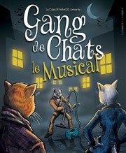 Gang de Chats, le Musical Au Rikiki Affiche