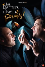 Les Chanteurs d'Oiseaux dans Perchés ! Espace Roseau Teinturiers Affiche