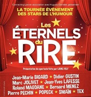 Les éternels du rire Halle Tony Garnier Affiche