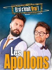 Les Apollons dans Et si c'était vrai ! Le Pont de Singe Affiche