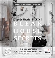 Bleak House Secrets Babel htel Belleville Affiche