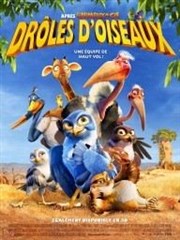 Drôles d'oiseaux Muse Dapper Affiche