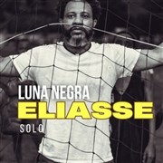 Eliasse en concert Luna Negra Affiche