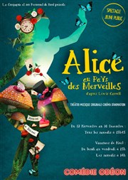 Alice au pays des merveilles Thtre Comdie Odon Affiche