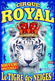 Cirque Royal | Sénas Chapiteau Cirque Royal  Snas Affiche