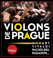 Violons de Prague | Lyon Crypte de la Basilique de Fourvire Affiche