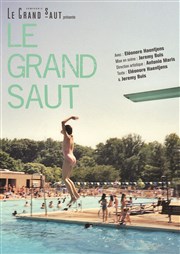 Le grand saut Tho Thtre - Salle Plomberie Affiche