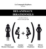 Des animaux irrationnels Thtre de l'Anagramme Affiche