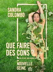 Sandra Colombo dans Que faire des cons ? La Nouvelle Seine Affiche