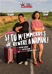 Si tu m'emmerdes, je rentre à Namur ! Alambic Comdie Affiche