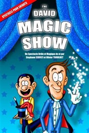 The david magic show La Comdie des Suds Affiche