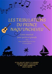 Les tribulations du prince Naqu'uncheveu Thtre Ronny Coutteure Affiche