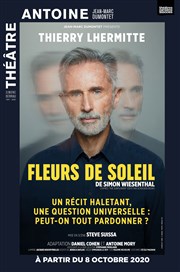 Fleurs de soleil | avec Thierry Lhermitte Thtre Antoine Affiche