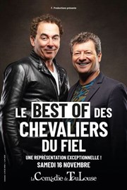 Les best of des chevaliers du Fiel La Comdie de Toulouse Affiche