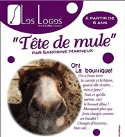 Tête de mule Les Loges Affiche