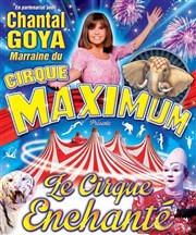 Le Cirque Maximum dans Le Cirque Enchanté | - Les Portes en Ré Chapiteau Maximum  Les Portes en R Affiche