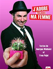 Yves Pujol dans J'adore (toujours) ma femme Caf thtre de la Fontaine d'Argent Affiche