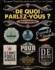 De quoi parlez-vous ? Thtre Clavel Affiche