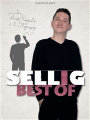 Sellig dans Best Of Salle polyvalente de Montfavet Affiche