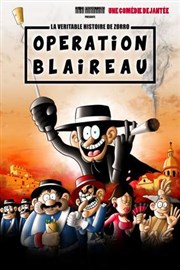 Opération blaireau : la véritable histoire de zorro La Comdie des Suds Affiche