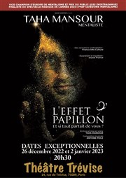 Taha Mansour dans L'effet Papillon Thtre Trvise Affiche