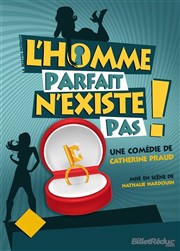 L'homme parfait n'existe pas ! La Comdie des Suds Affiche