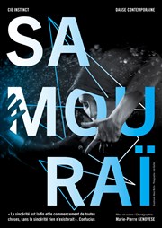 Samouraï Thtre de l'Eau Vive Affiche