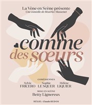 Comme des soeurs Ple Culturel Jean Ferrat Affiche