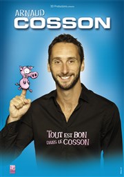 Arnaud Cosson dans tout est bon dans le Cosson Le Point Virgule Affiche