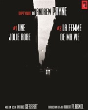 Diptyque #1 : Une jolie robe Artistic Athvains Affiche